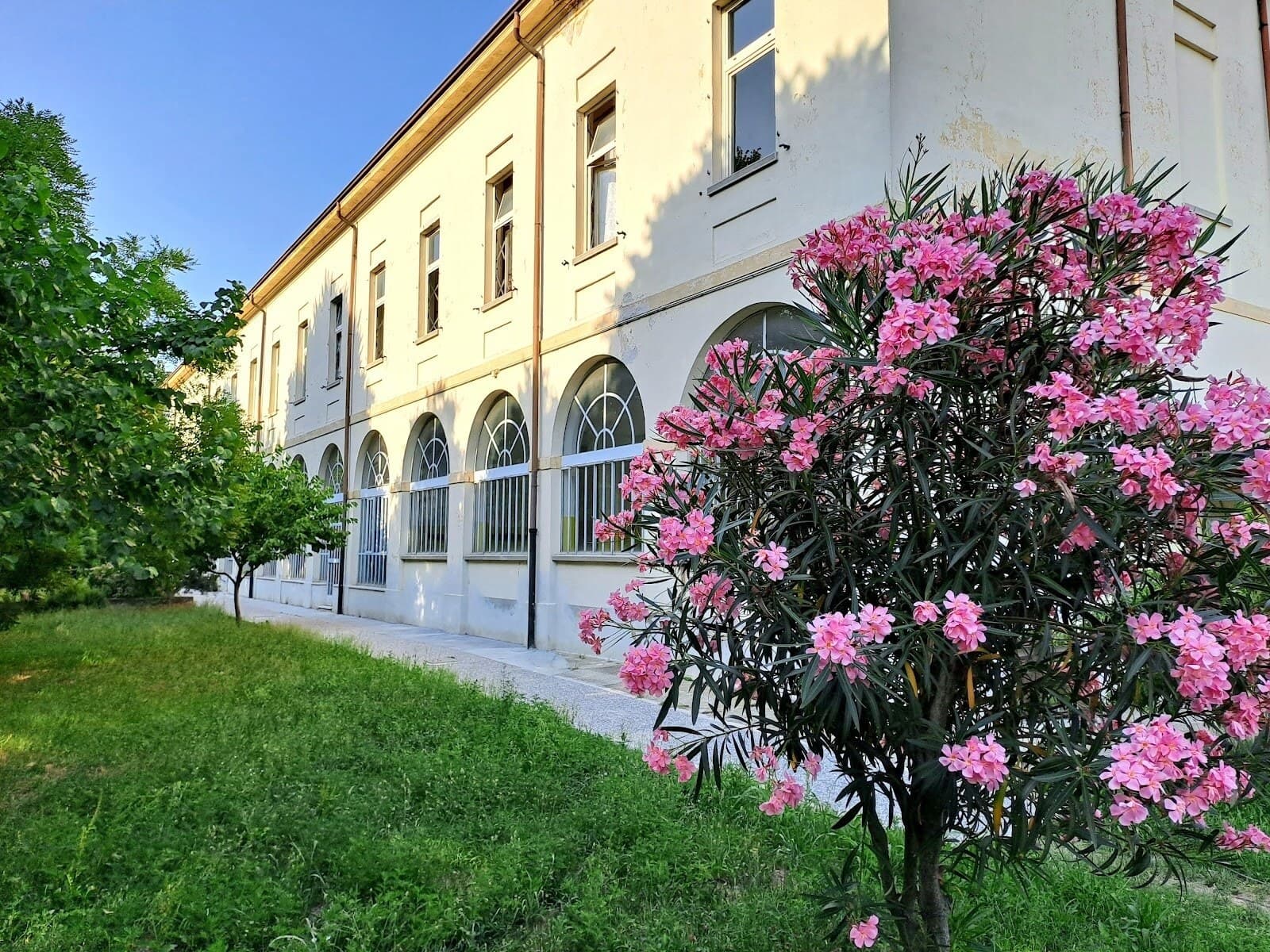 ATS Mensa - Cremona